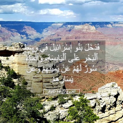Picture 05 - اَلْخُرُوجُ 14:22 AVD - فَدَخَلَ بَنُو - Bible Verse Picture