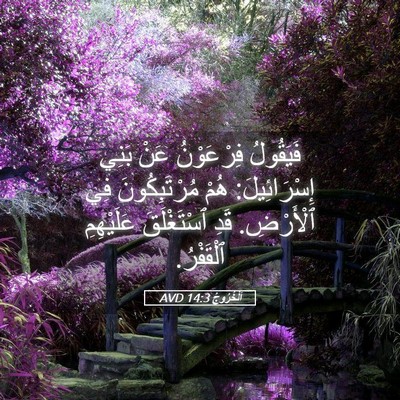 Picture 05 - اَلْخُرُوجُ 14:3 AVD - فَيَقُولُ فِرْعَوْنُ عَنْ - Bible Verse Picture