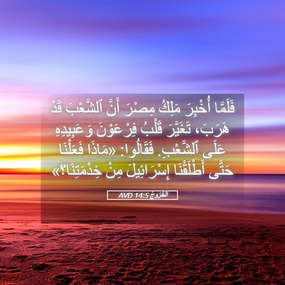 Picture 05 - اَلْخُرُوجُ 14:5 AVD - فَلَمَّا أُخْبِرَ مَلِكُ - Bible Verse Picture