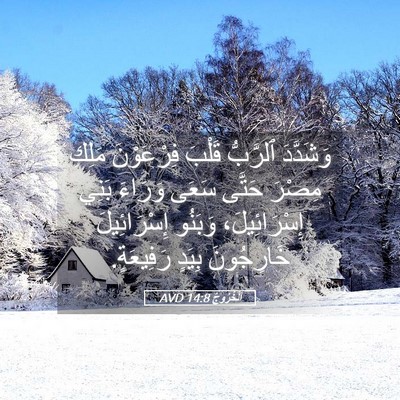 Picture 05 - اَلْخُرُوجُ 14:8 AVD - وَشَدَّدَ ٱلرَّبُّ قَلْبَ - Bible Verse Picture