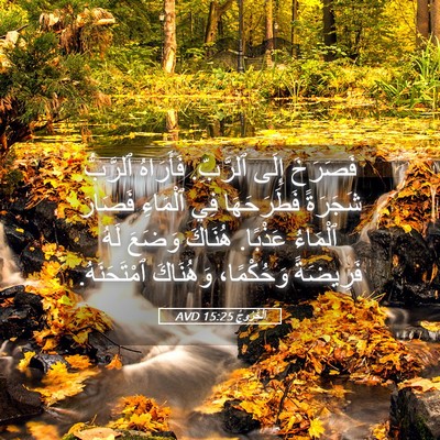 Picture 05 - اَلْخُرُوجُ 15:25 AVD - فَصَرَخَ إِلَى ٱلرَّبِّ. - Bible Verse Picture