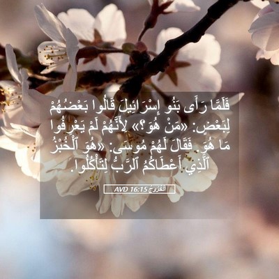 Picture 05 - اَلْخُرُوجُ 16:15 AVD - فَلَمَّا رَأَى بَنُو - Bible Verse Picture