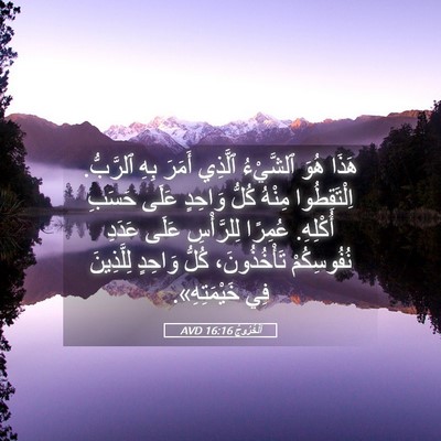 Picture 05 - اَلْخُرُوجُ 16:16 AVD - هَذَا هُوَ ٱلشَّيْءُ - Bible Verse Picture
