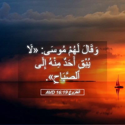 Picture 05 - اَلْخُرُوجُ 16:19 AVD - وَقَالَ لَهُمْ مُوسَى: - Bible Verse Picture