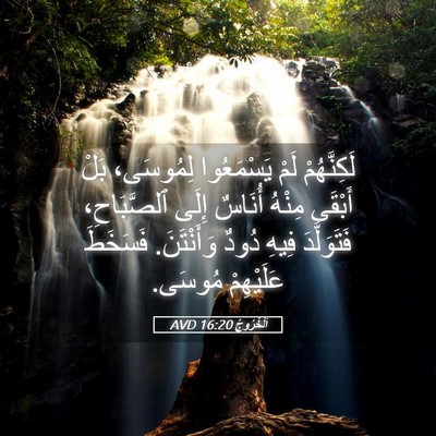Picture 05 - اَلْخُرُوجُ 16:20 AVD - لَكِنَّهُمْ لَمْ - Bible Verse Picture