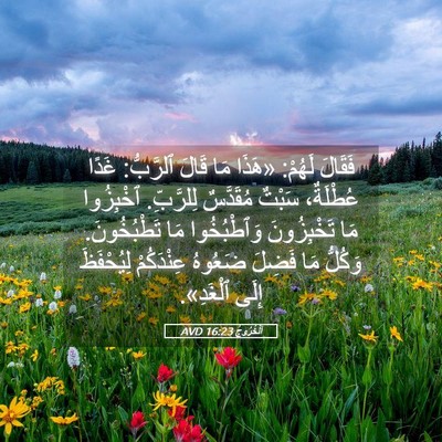 Picture 05 - اَلْخُرُوجُ 16:23 AVD - فَقَالَ لَهُمْ: «هَذَا مَا - Bible Verse Picture