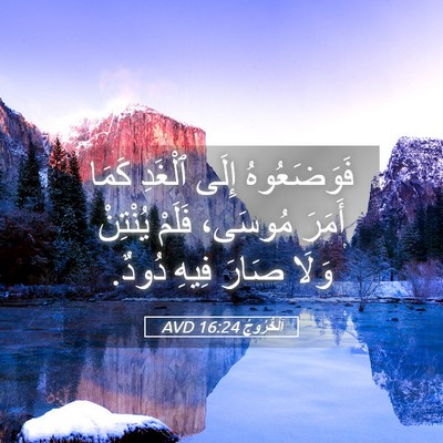 Picture 05 - اَلْخُرُوجُ 16:24 AVD - فَوَضَعُوهُ إِلَى ٱلْغَدِ - Bible Verse Picture