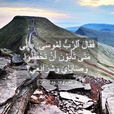 Picture 05 - اَلْخُرُوجُ 16:28 AVD - فَقَالَ ٱلرَّبُّ لِمُوسَى: - Bible Verse Picture