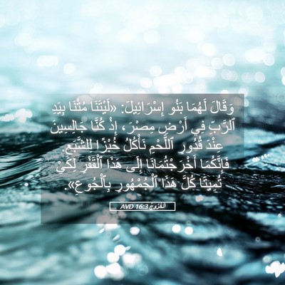 Picture 05 - اَلْخُرُوجُ 16:3 AVD - وَقَالَ لَهُمَا بَنُو - Bible Verse Picture