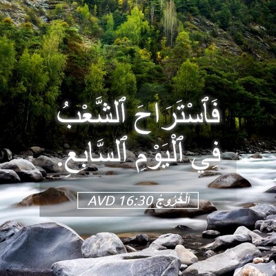Picture 05 - اَلْخُرُوجُ 16:30 AVD - فَٱسْتَرَاحَ ٱلشَّعْبُ - Bible Verse Picture