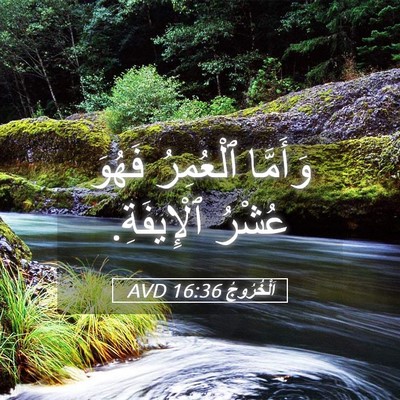 Picture 05 - اَلْخُرُوجُ 16:36 AVD - وَأَمَّا ٱلْعُمِرُ فَهُوَ - Bible Verse Picture