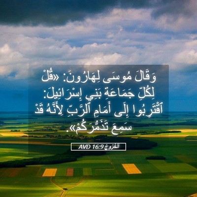 Picture 05 - اَلْخُرُوجُ 16:9 AVD - وَقَالَ مُوسَى لِهَارُونَ: - Bible Verse Picture