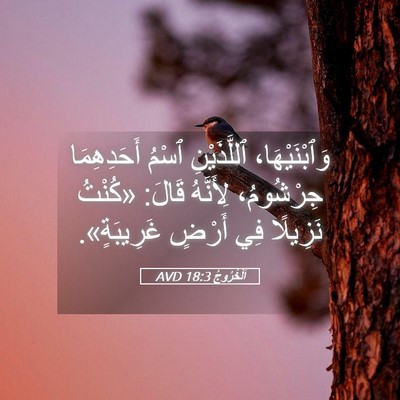 Picture 05 - اَلْخُرُوجُ 18:3 AVD - وَٱبْنَيْهَا، ٱللَّذَيْنِ - Bible Verse Picture