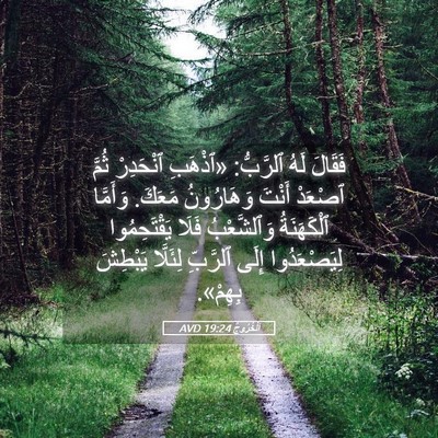Picture 05 - اَلْخُرُوجُ 19:24 AVD - فَقَالَ لَهُ ٱلرَّبُّ: - Bible Verse Picture