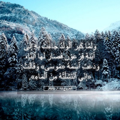 Picture 05 - اَلْخُرُوجُ 2:10 AVD - وَلَمَّا كَبِرَ ٱلْوَلَدُ - Bible Verse Picture