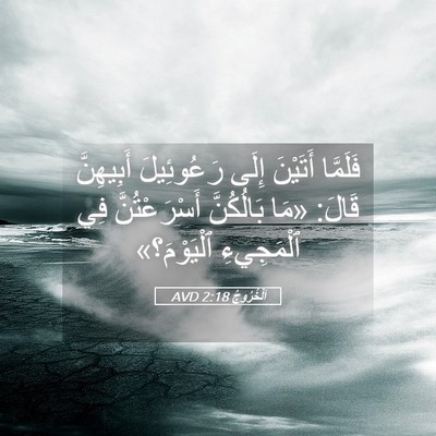 Picture 05 - اَلْخُرُوجُ 2:18 AVD - فَلَمَّا أَتَيْنَ إِلَى - Bible Verse Picture