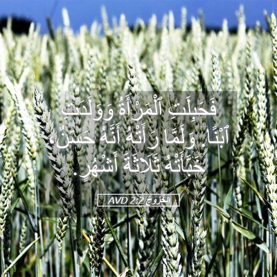 Picture 05 - اَلْخُرُوجُ 2:2 AVD - فَحَبِلَتِ ٱلْمَرْأَةُ - Bible Verse Picture