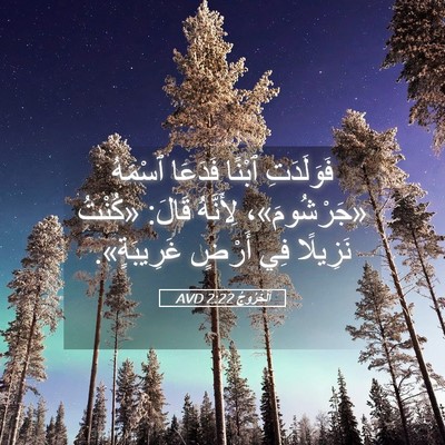 Picture 05 - اَلْخُرُوجُ 2:22 AVD - فَوَلَدَتِ ٱبْنًا فَدَعَا - Bible Verse Picture