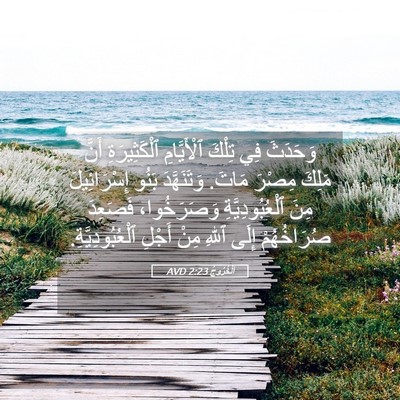 Picture 05 - اَلْخُرُوجُ 2:23 AVD - وَحَدَثَ فِي تِلْكَ - Bible Verse Picture