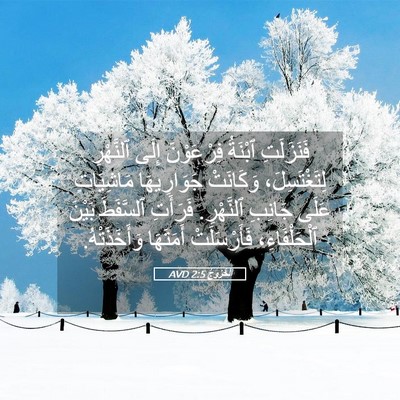 Picture 05 - اَلْخُرُوجُ 2:5 AVD - فَنَزَلَتِ ٱبْنَةُ - Bible Verse Picture