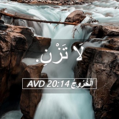 Picture 05 - اَلْخُرُوجُ 20:14 AVD - لَا - Bible Verse Picture