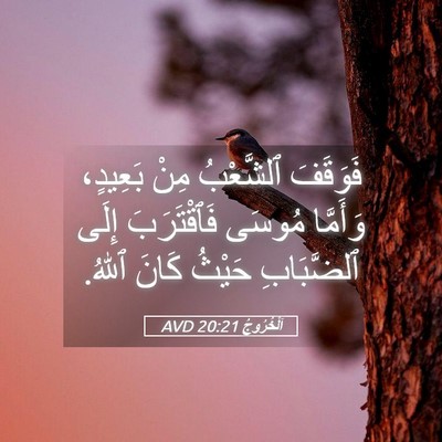 Picture 05 - اَلْخُرُوجُ 20:21 AVD - فَوَقَفَ ٱلشَّعْبُ مِنْ - Bible Verse Picture