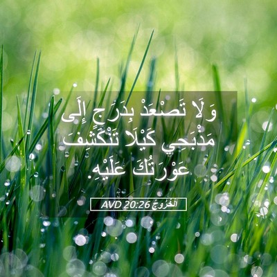 Picture 05 - اَلْخُرُوجُ 20:26 AVD - وَلَا تَصْعَدْ بِدَرَجٍ - Bible Verse Picture