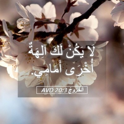 Picture 05 - اَلْخُرُوجُ 20:3 AVD - لَا يَكُنْ لَكَ آلِهَةٌ - Bible Verse Picture