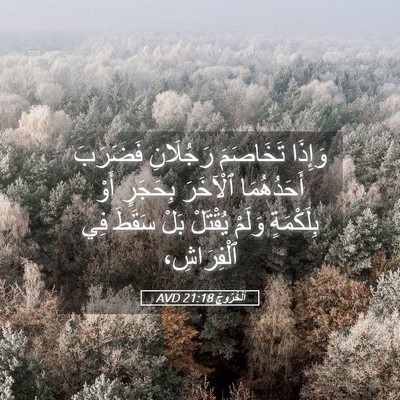 Picture 05 - اَلْخُرُوجُ 21:18 AVD - وَإِذَا تَخَاصَمَ - Bible Verse Picture