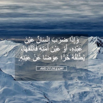 Picture 05 - اَلْخُرُوجُ 21:26 AVD - وَإِذَا ضَرَبَ إِنْسَانٌ - Bible Verse Picture