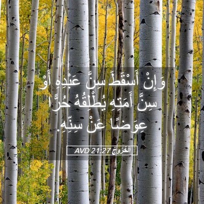Picture 05 - اَلْخُرُوجُ 21:27 AVD - وَإِنْ أَسْقَطَ سِنَّ - Bible Verse Picture