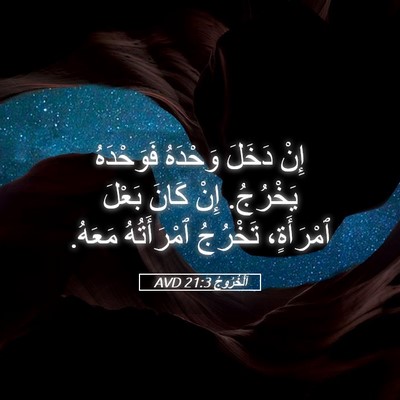 Picture 05 - اَلْخُرُوجُ 21:3 AVD - إِنْ دَخَلَ وَحْدَهُ - Bible Verse Picture