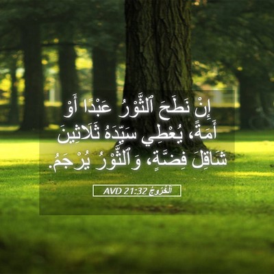 Picture 05 - اَلْخُرُوجُ 21:32 AVD - إِنْ نَطَحَ ٱلثَّوْرُ - Bible Verse Picture