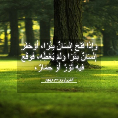 Picture 05 - اَلْخُرُوجُ 21:33 AVD - وَإِذَا فَتَحَ إِنْسَانٌ - Bible Verse Picture