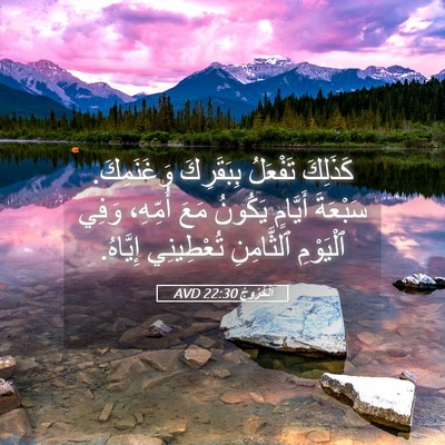 Picture 05 - اَلْخُرُوجُ 22:30 AVD - كَذَلِكَ تَفْعَلُ - Bible Verse Picture