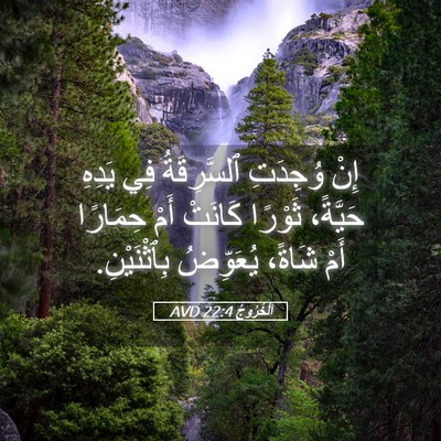 Picture 05 - اَلْخُرُوجُ 22:4 AVD - إِنْ وُجِدَتِ ٱلسَّرِقَةُ - Bible Verse Picture