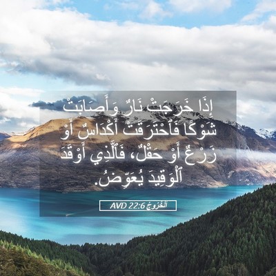 Picture 05 - اَلْخُرُوجُ 22:6 AVD - إِذَا خَرَجَتْ نَارٌ - Bible Verse Picture
