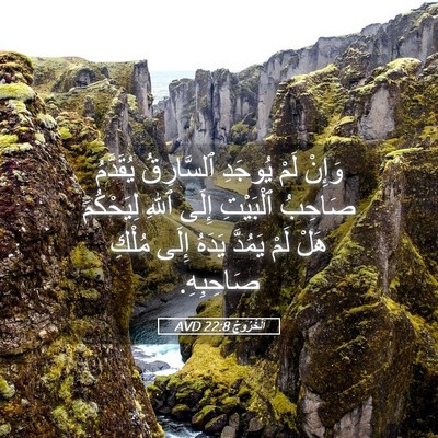 Picture 05 - اَلْخُرُوجُ 22:8 AVD - وَإِنْ لَمْ يُوجَدِ - Bible Verse Picture