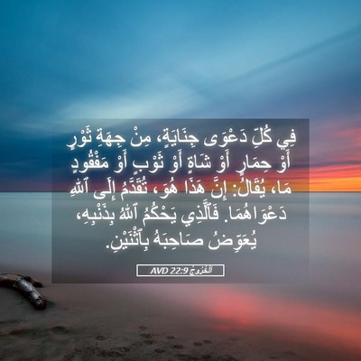 Picture 05 - اَلْخُرُوجُ 22:9 AVD - فِي كُلِّ دَعْوَى - Bible Verse Picture
