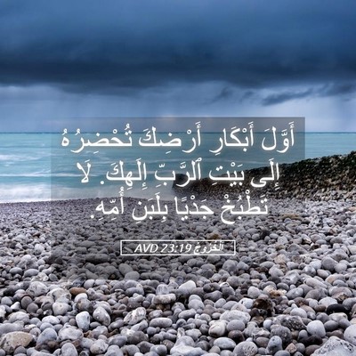 Picture 05 - اَلْخُرُوجُ 23:19 AVD - أَوَّلَ أَبْكَارِ - Bible Verse Picture