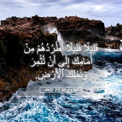 Picture 05 - اَلْخُرُوجُ 23:30 AVD - قَلِيلًا قَلِيلًا - Bible Verse Picture