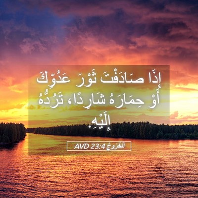 Picture 05 - اَلْخُرُوجُ 23:4 AVD - إِذَا صَادَفْتَ ثَوْرَ - Bible Verse Picture