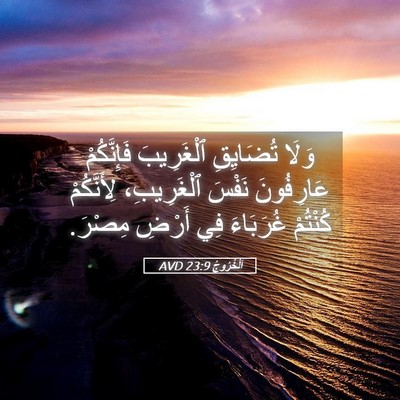 Picture 05 - اَلْخُرُوجُ 23:9 AVD - وَلَا تُضَايِقِ - Bible Verse Picture