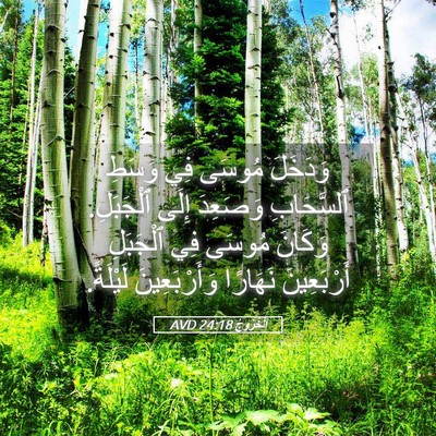 Picture 05 - اَلْخُرُوجُ 24:18 AVD - وَدَخَلَ مُوسَى فِي وَسَطِ - Bible Verse Picture