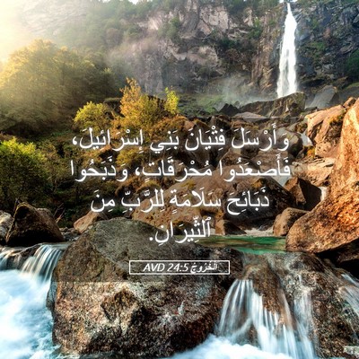 Picture 05 - اَلْخُرُوجُ 24:5 AVD - وَأَرْسَلَ فِتْيَانَ - Bible Verse Picture