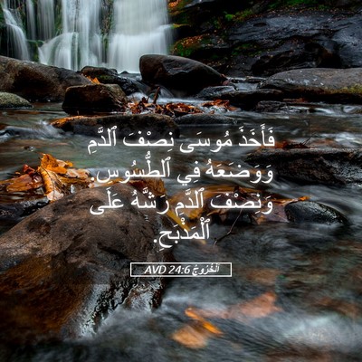 Picture 05 - اَلْخُرُوجُ 24:6 AVD - فَأَخَذَ مُوسَى نِصْفَ - Bible Verse Picture