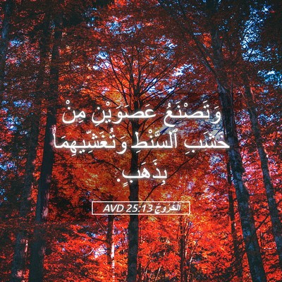 Picture 05 - اَلْخُرُوجُ 25:13 AVD - وَتَصْنَعُ عَصَوَيْنِ - Bible Verse Picture