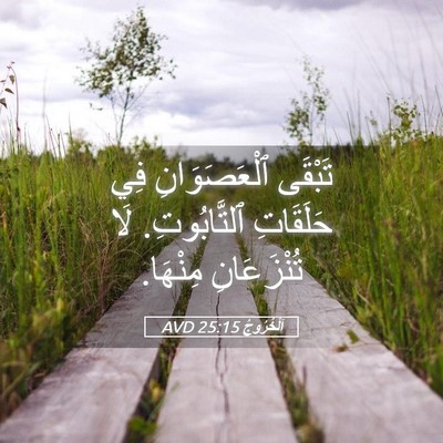 Picture 05 - اَلْخُرُوجُ 25:15 AVD - تَبْقَى ٱلْعَصَوَانِ فِي - Bible Verse Picture