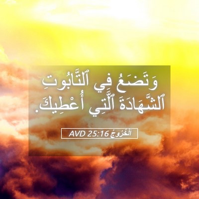Picture 05 - اَلْخُرُوجُ 25:16 AVD - وَتَضَعُ فِي ٱلتَّابُوتِ - Bible Verse Picture