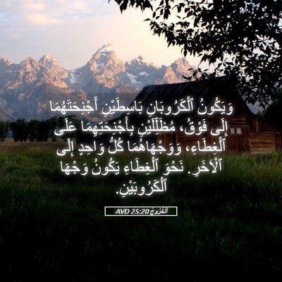 Picture 05 - اَلْخُرُوجُ 25:20 AVD - وَيَكُونُ ٱلْكَرُوبَانِ - Bible Verse Picture